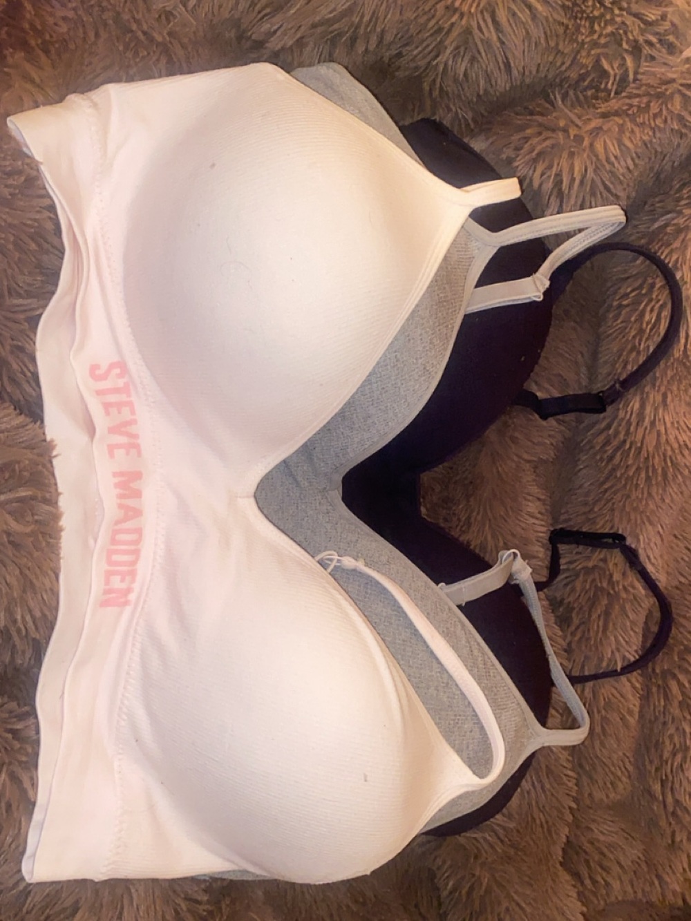 Steve Madden 3-Pack Padded Bras in White, Gray & Black